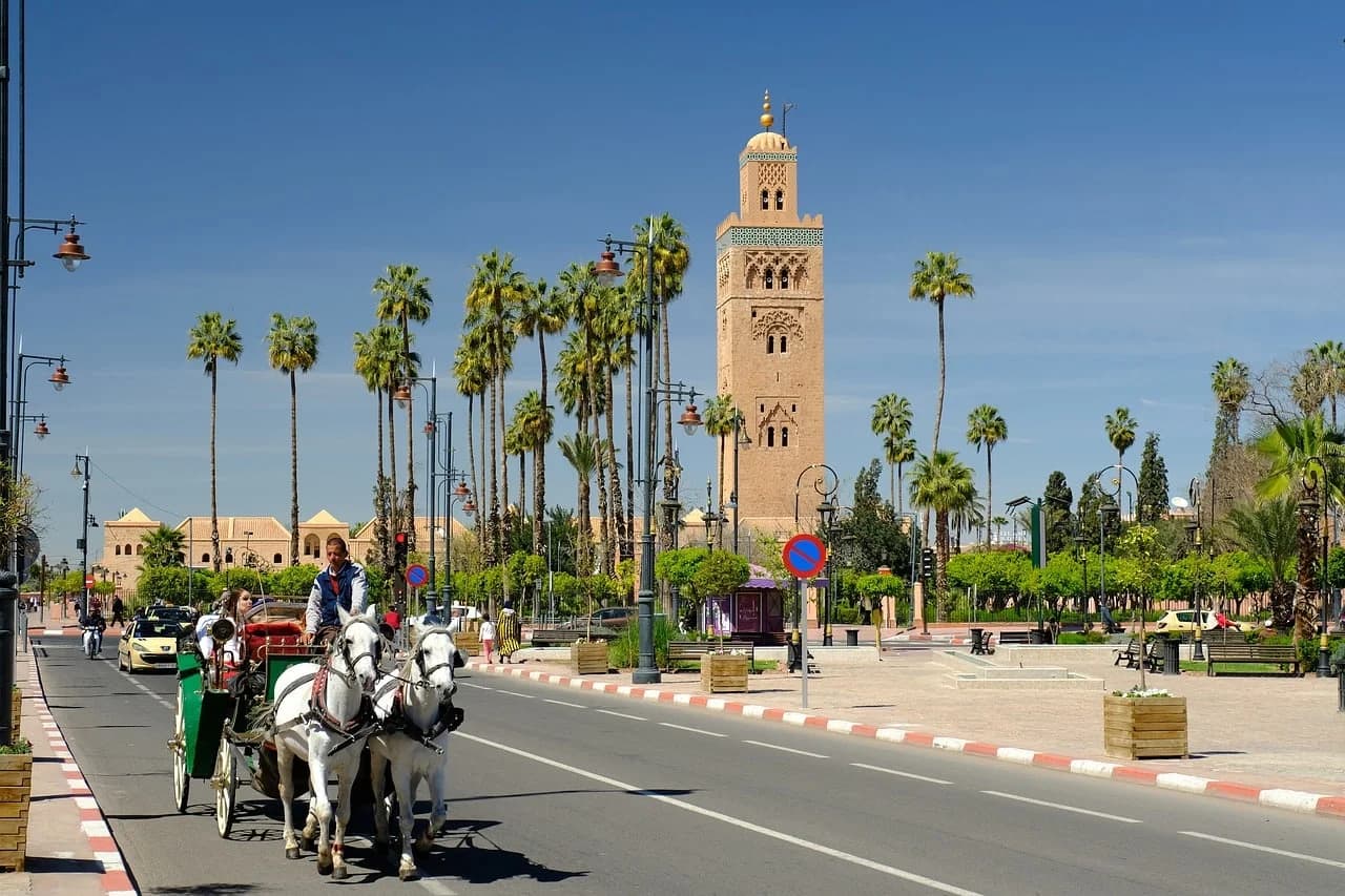 Marrakesh — the Koutoubia minaret rising above palm trees at golden hour